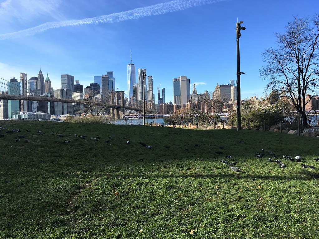 View of Manhattan From Brooklyn Bridge Park