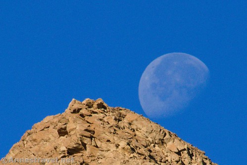 The moon setting over one of the peaks above 20 Mule Team Canyon, Death Valley National Park, California