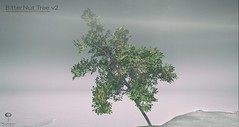 The Little Branch - Bitternut Tree v2 - Shiny Shabby