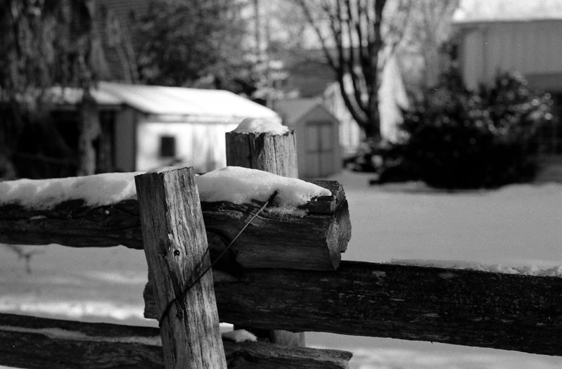 Wood Fence and Snow