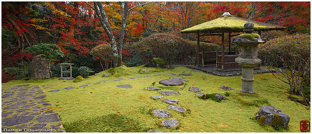 Moss garden in autumn, Hakuryu-en, Kyoto, Japan