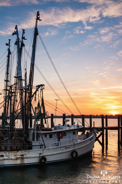 Shrimp Boat Sunset, Port Royal, South Carolina