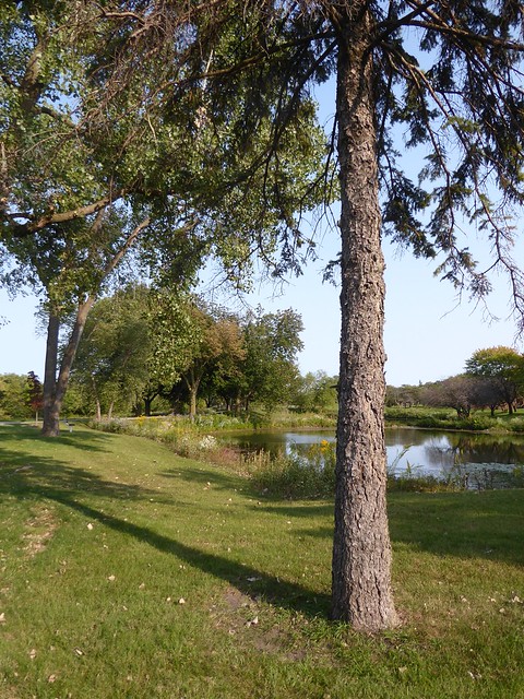 Oak Brook, IL, Central Park, Ginger Creek Landscape