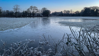 Frosty Morning - ice reflection