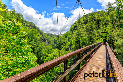 Tallulah Falls Suspension Bridge over Hurricane Falls at Tallulah Gorge State Park in Tallulah Falls, Georgia by Peter Ciro Photography, Tallulah Falls Suspension Bridge over Hurricane Falls at Tallulah Gorge State Park in Tallulah Falls