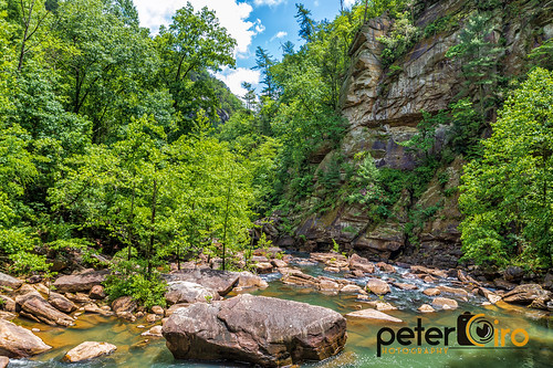 Tallulah Gorge Floor. Total of 1,099 stair steps to get from top to the floor. Tallulah Gorge State Park in Tallulah Falls, Georgia by Peter Ciro Photography, Tallulah Gorge Floor. Total of 1,099 stair steps to get from top to the floor. Tallulah Gorge State 