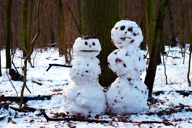 Snowmen in Woods