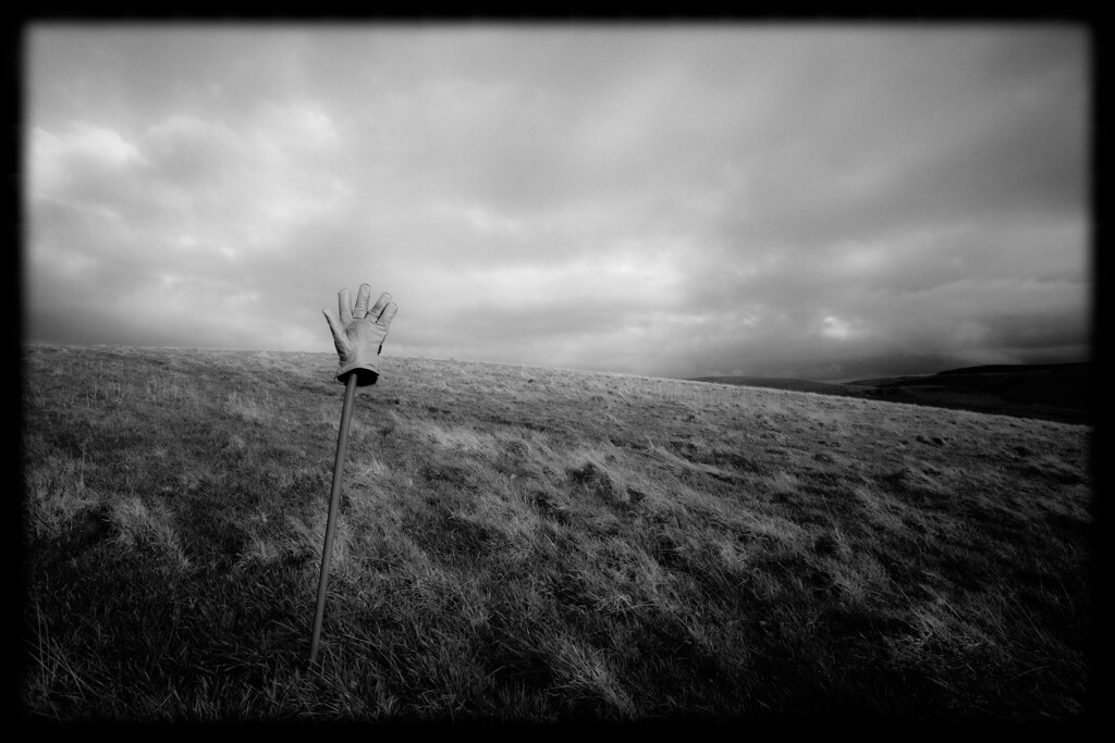 GLOVE: January hillslope, Cnwch Coch