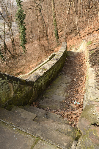 Steps | by dl109