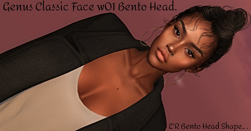 new Genus Classic Face w001 Bento Head Shape - | by lindaronstadt