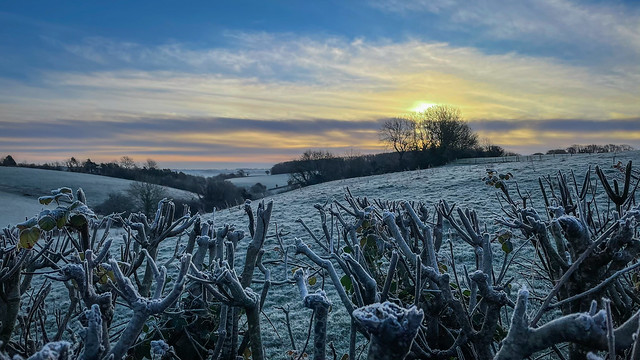 Frosty Sunrise