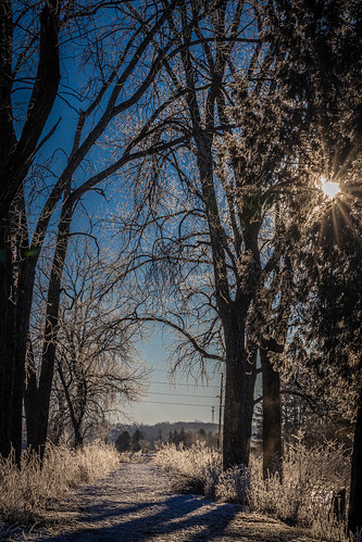 wisconsin winter frost nature trees path cold sun landscape landscapebluesky outdoorphotography outdoor