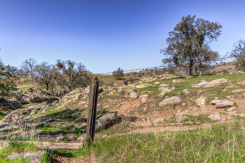 Barbed Wire Fence 2014 03 15 02 by davidseibold, Blue Mountain Road, Tulare County, California 2014america bluemountainrd bluemountainroad california