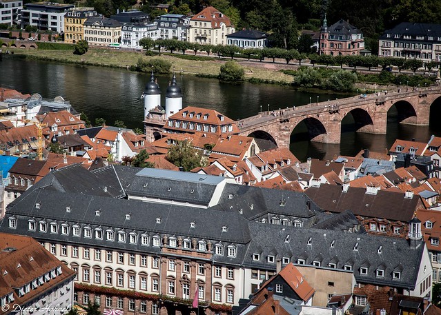 Heidelberg mit Alter Brücke