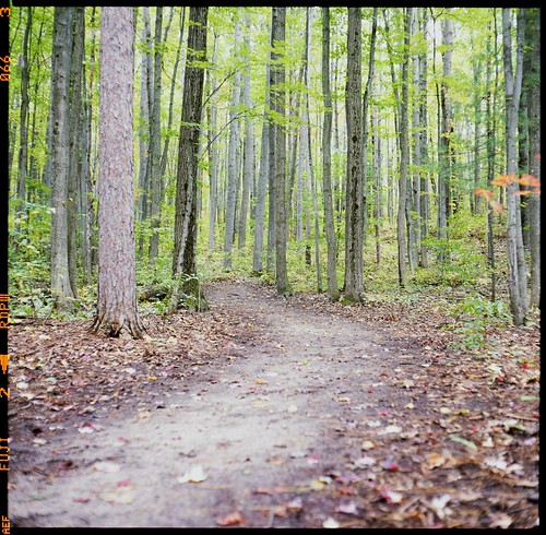 provia100f - upper peninsula pathway | by ericvandrick