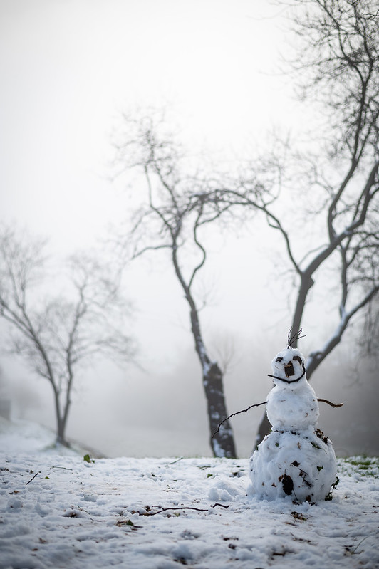 024/365 - Obligatory Snowman Shot