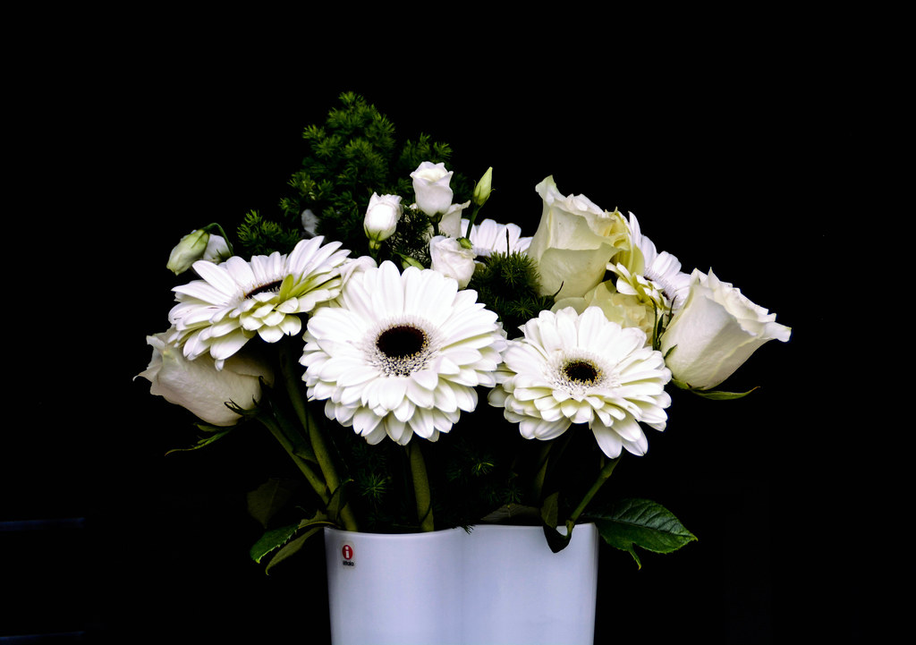 Vaso con fiori bianchi