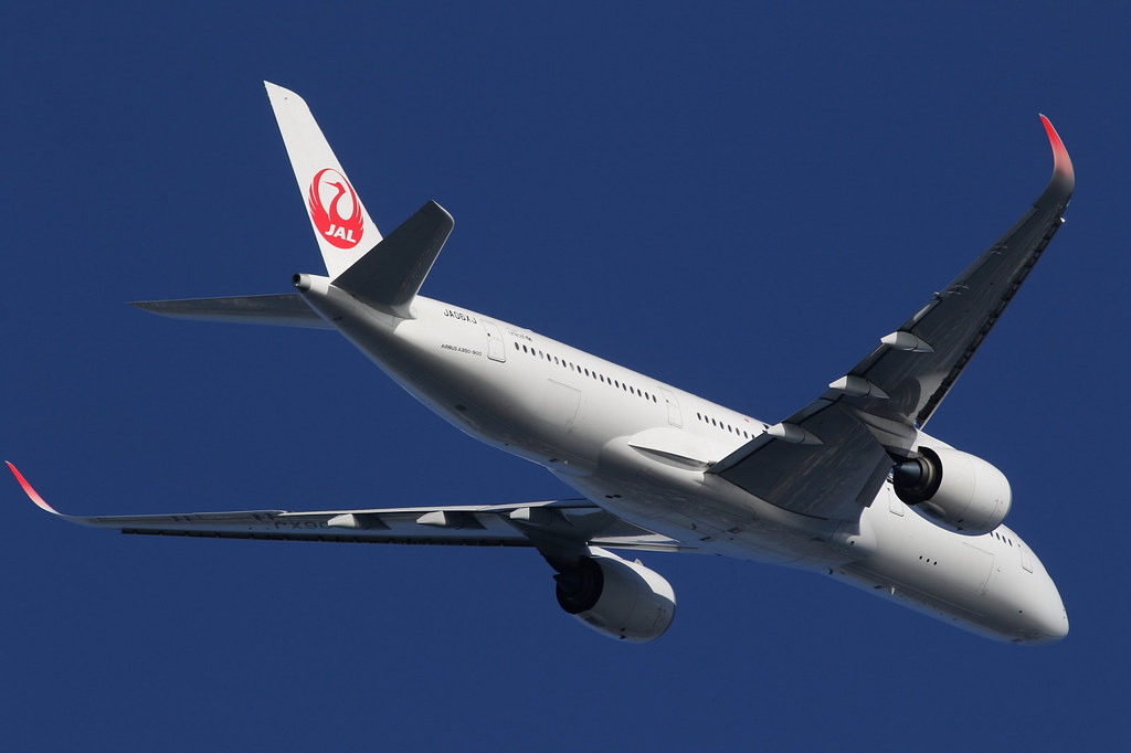 Japan Airlines JA06XJ