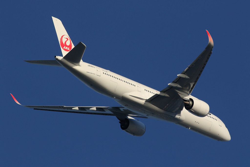 Japan Airlines JA08XJ