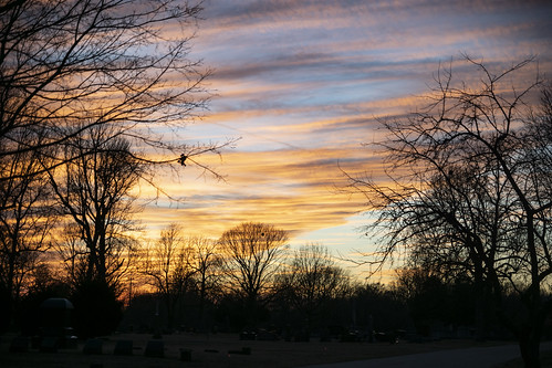 dusk sunset orange yellow sky blue trees baretrees silhouette springfieldnationalcemetery springfield mo
