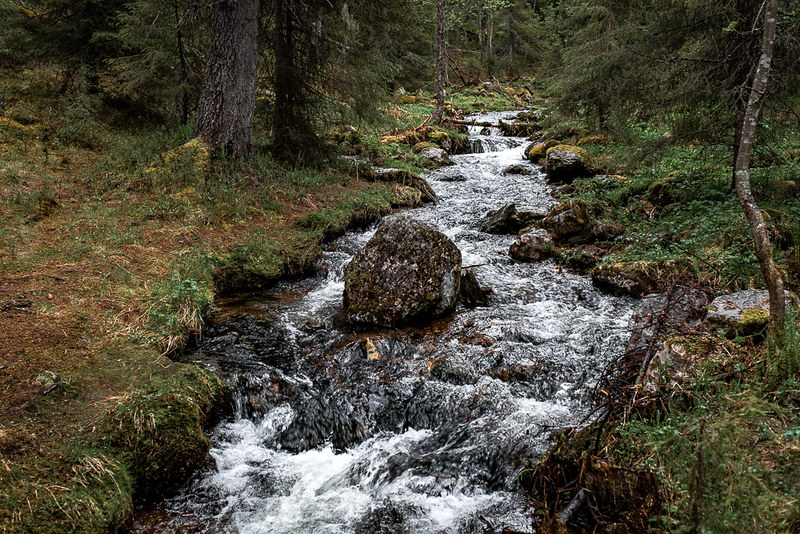 Varkaankuru, Ylläs (1)