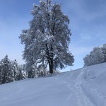 Skitour Hinwil-Bachtel Jan 21'