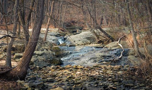 croydon creek naturecenter outside outdoors nature park woods forest water winter january rockville maryland md montgomery hiking moody landscape photography tripod sony alpha a7riii ilce7rm3 fullframe mirrorless emount femount sel70300g 70300mm glens gseries telephoto long