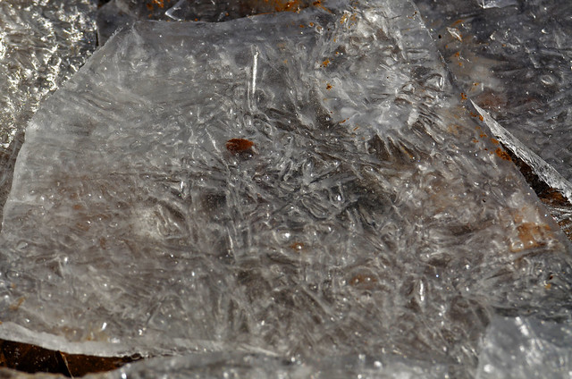 Ice In The Cormor [Pagnacco - 16 January 2021]