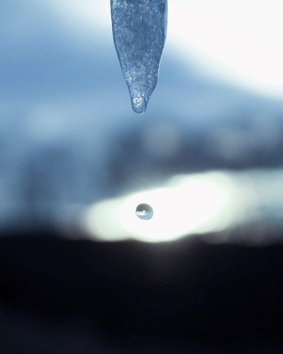 Capturing the Sun by montseny visions, Winter sunset in a dropwinter sun sunset ice icicle drop water montseny nature catalonia catalunya o