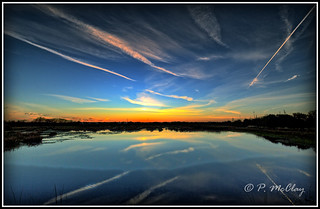 Sunset at the Celery Fields