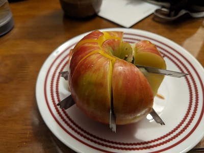 Broken apple slicer