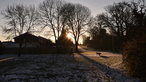 afsnikkor1835mmf3545ged blue d750 dog icy morning nikon nikond750 rquk sky snow starburst trees woosehill sunrise