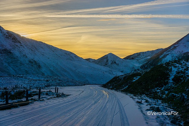 An icy road at the blue hour
