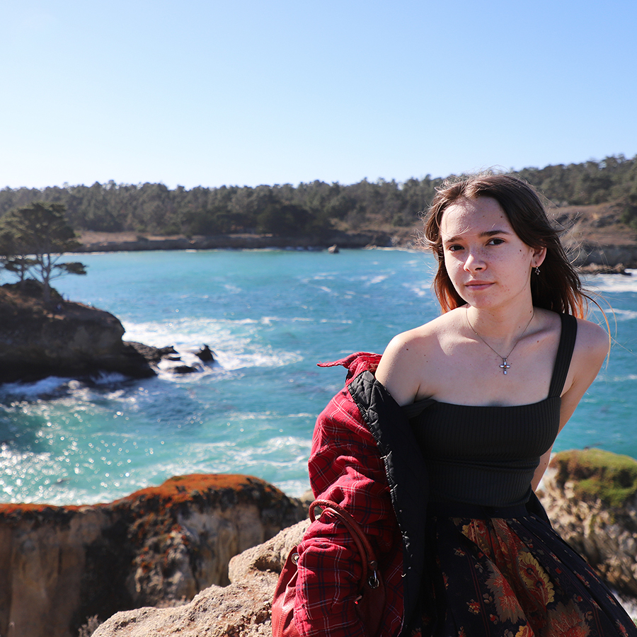 the-beauty-in-point-lobos