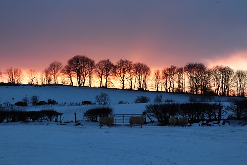 sunset evening light sky cloud tree bank farmland snow winter