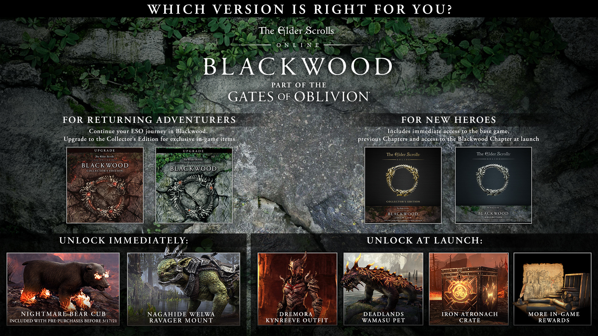 Delve into the Gates of Oblivion – The Elder Scrolls Online\'s new year-long  saga –