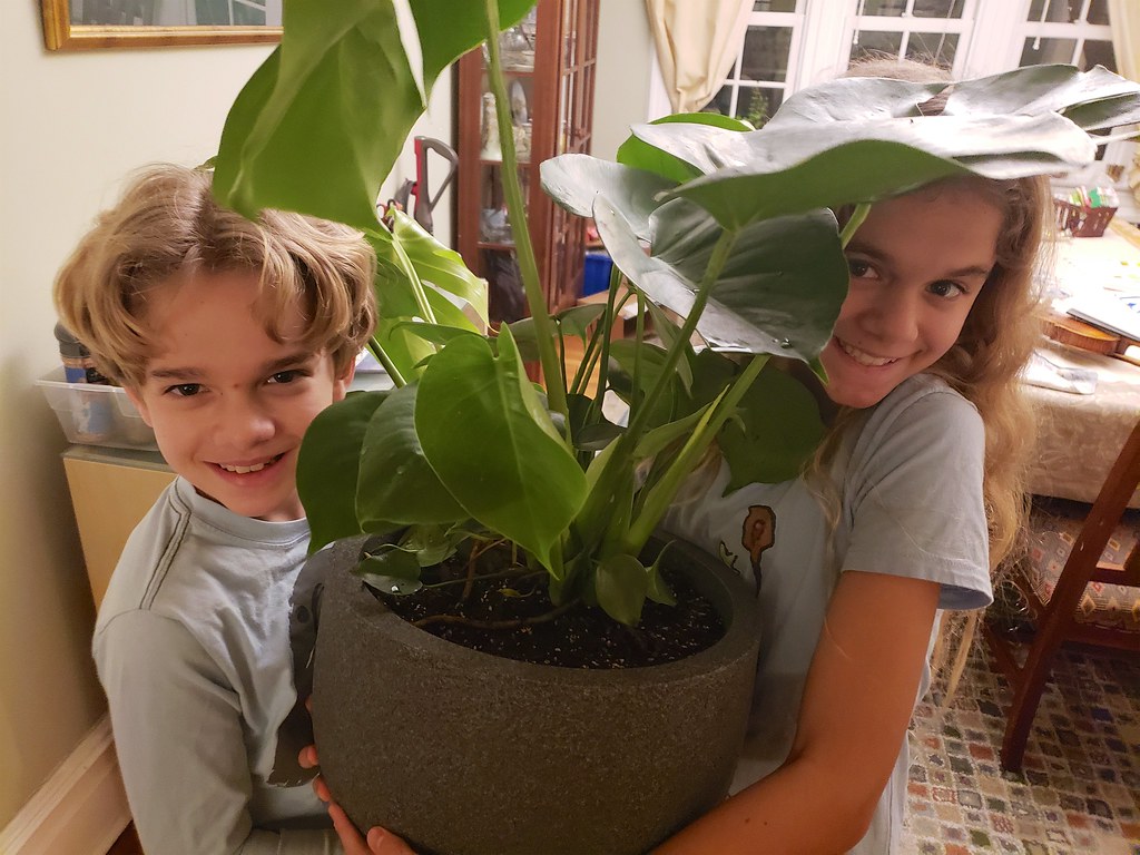 The Kids With Everett's New Philodendron