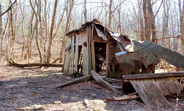 Abandoned cabin in Shenandoah