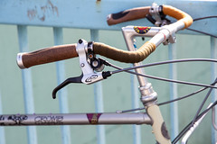 *RIVENDELL* joe appaloosa