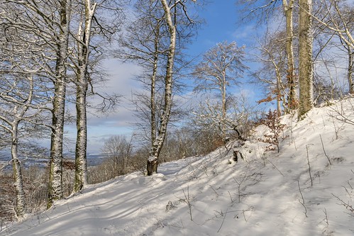 *Winter on the volcano* by Albert Wirtz @ Landscape and Nature Photography, Last Sunday on the summit of the Hochkelberg, one of the highest elevations in the Eifel (675 m).

L