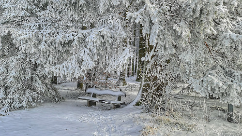 winter bench winterimpression winterlandscape snow hoarfrost winterlandschaft bank sitzbank