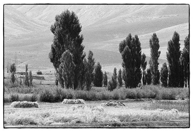85212_15 Harvested fields, High Atlas, Morocco, 1985