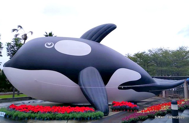 「安平虎鯨家族」(Killer Whale art exhibition) at 「台北自來水園區」(Taipei Water Park, Dec 19, 2020, SJKen