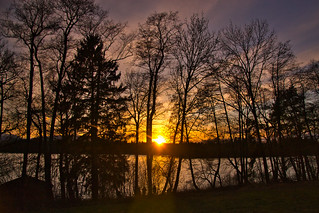 Sunset at the trees and the water