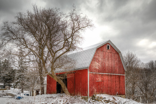 trees farm barn winter snow michigan