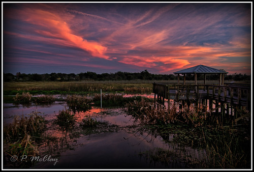celeryfields sunset sarasota florida sky clouds nature blue marsh boardwalk outside outdoor canon eos slr 6d flickr 1530