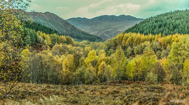 Autumn colours at the entrance to the wonderful valley of Glen Cannich.