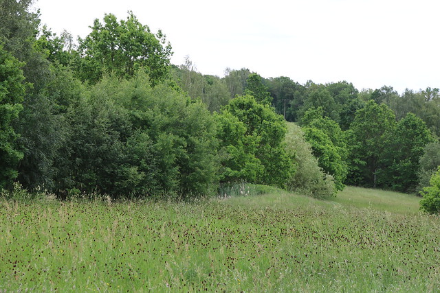 Festung Božetín in Božetín