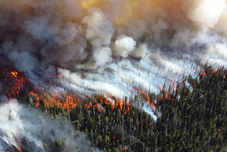Wildfires are becoming more prolific and devastating. A Los Alamos study reveals dynamics that help practitioners predict and prevent fire. (Photo Credit: Courtesy of National Park Service)