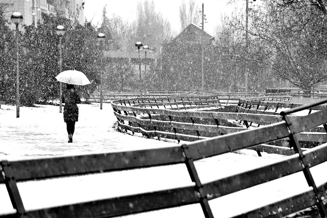 Young girl walking alone in a snowy morning